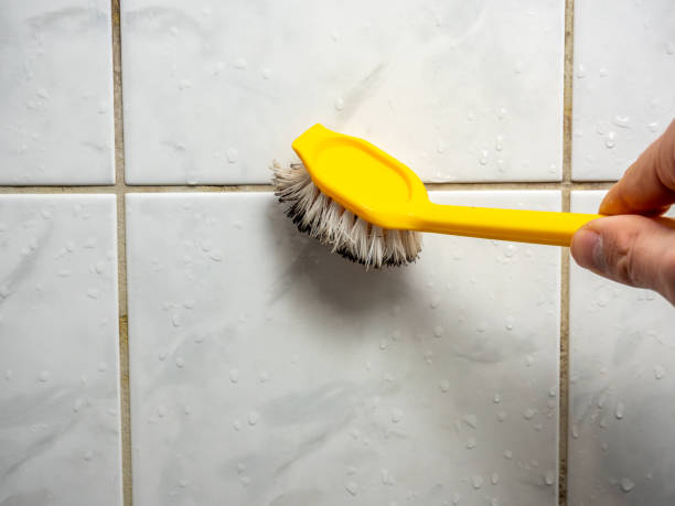 Mold Removal and Inspection in Sleepy Hollow, WY