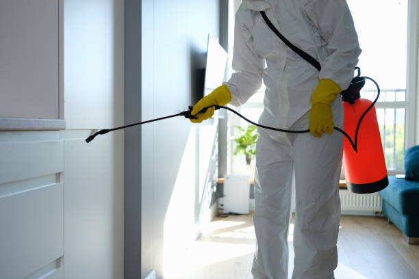 Best Affordable Mold Removal  in Sleepy Hollow, WY